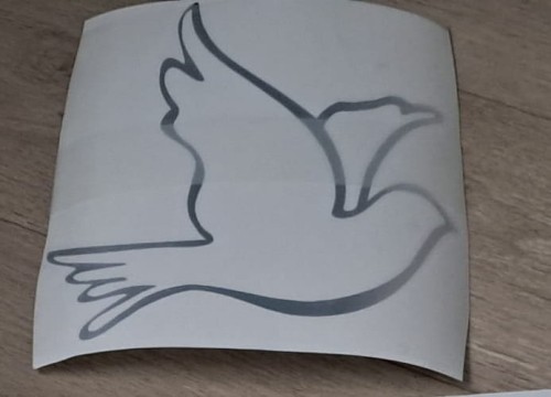 20251009_092444.jpg