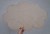 20250714_210400.jpg