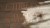 20250416_094508.jpg